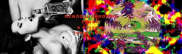 трава Елизово