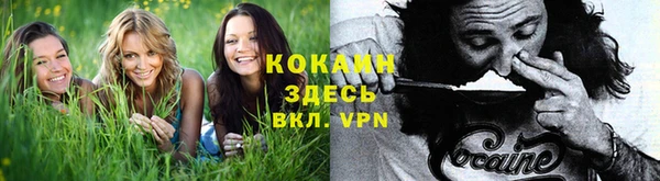скорость mdpv Елабуга