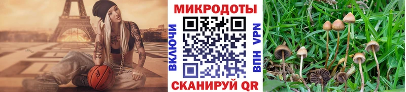Псилоцибиновые грибы мухоморы  Купить закладки  Кизилюрт 