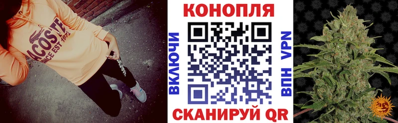 Канабис White Widow  Купить  Кизилюрт 